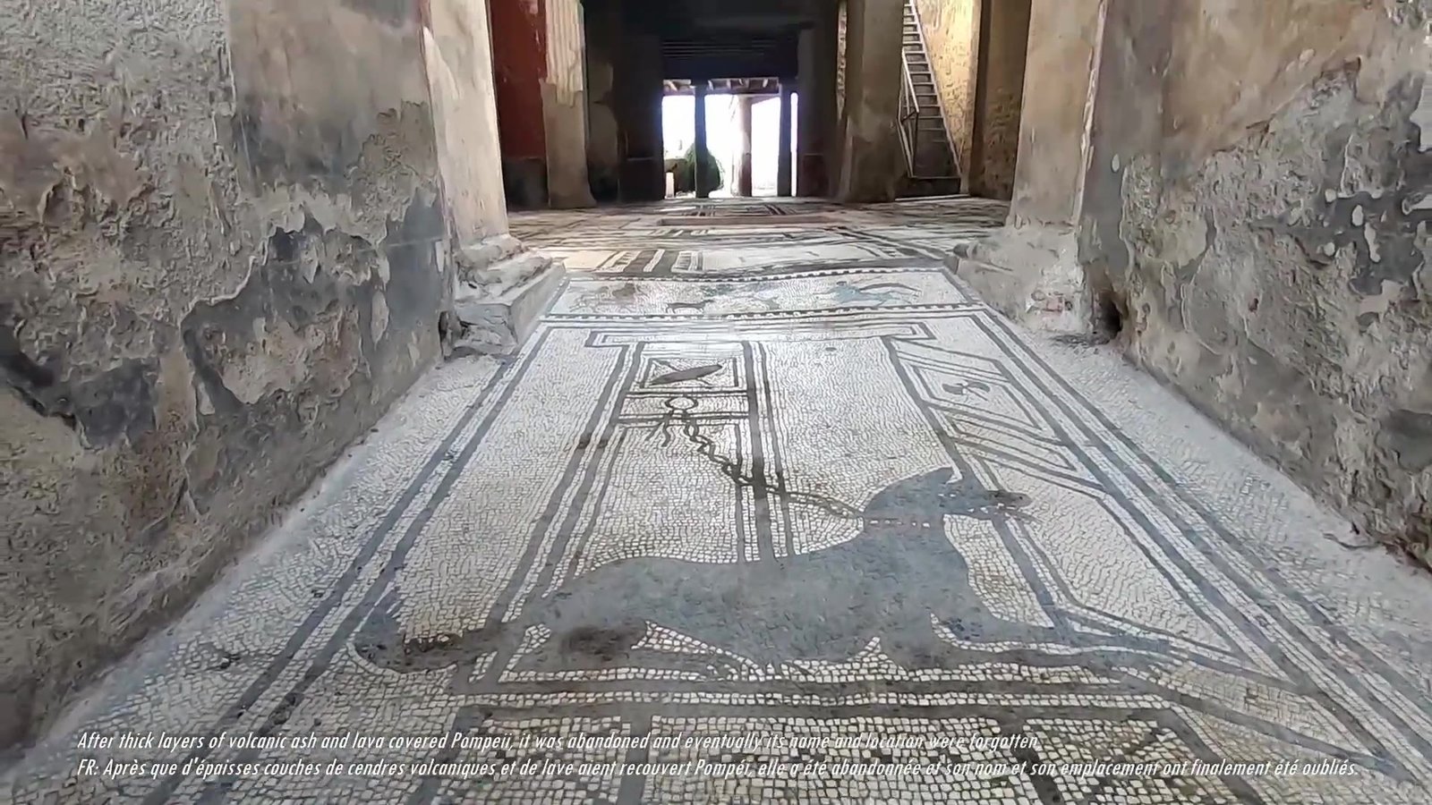 Cave canem dog mosaic on the floor of a Pompeii house