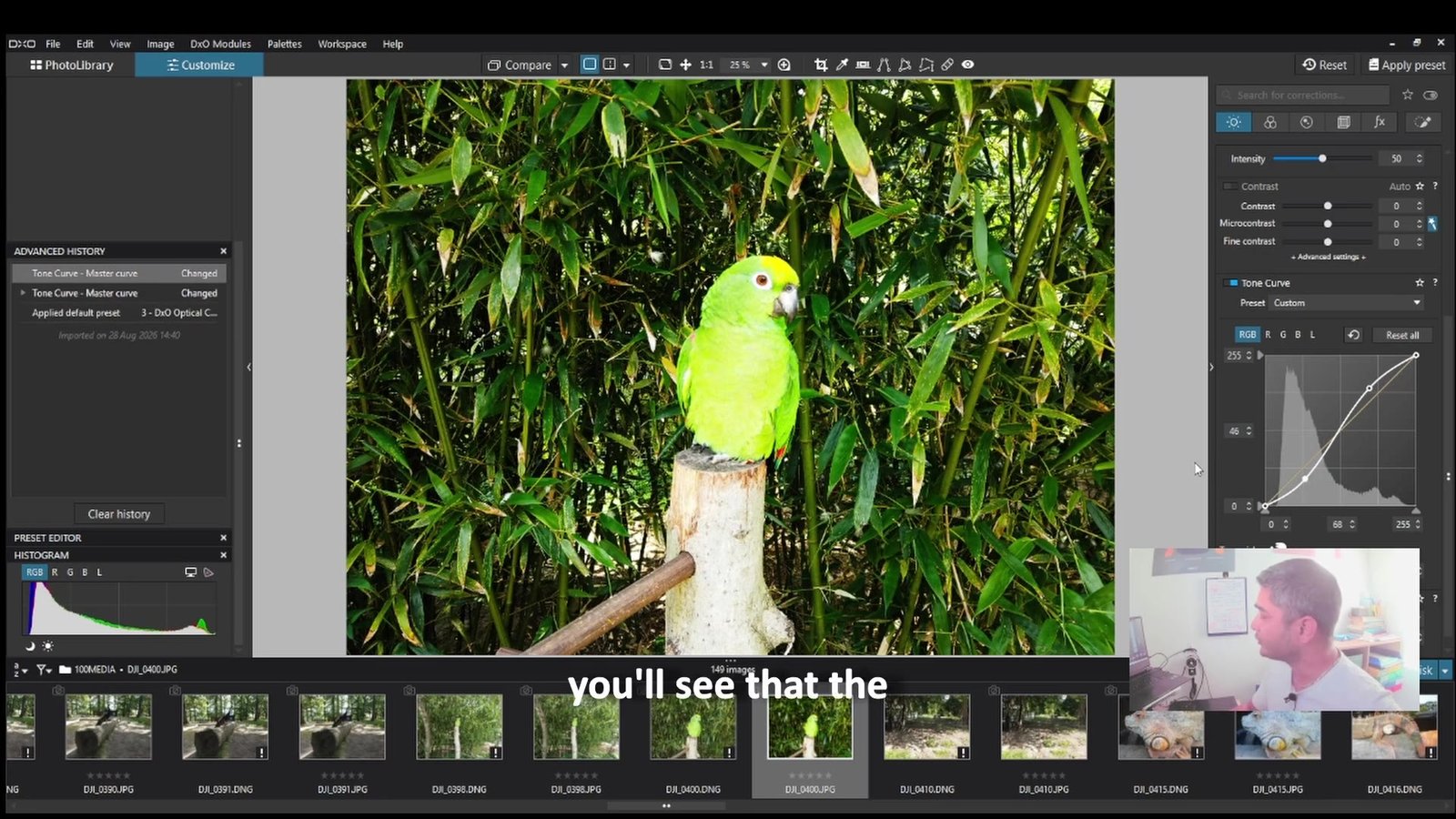 DxO PhotoLab Tone Curve panel with RGB and Luma modes while editing a parrot photo