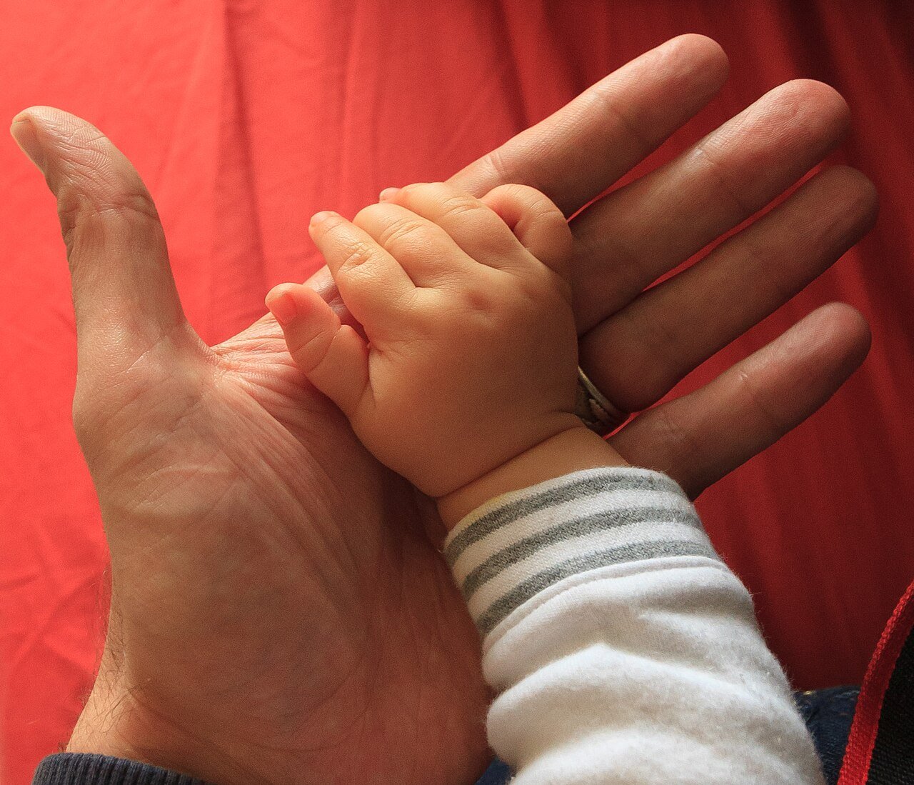 Close-up of a father's open hand holding a baby's small hand, the baby in a white sleeve with grey stripes, against a red background