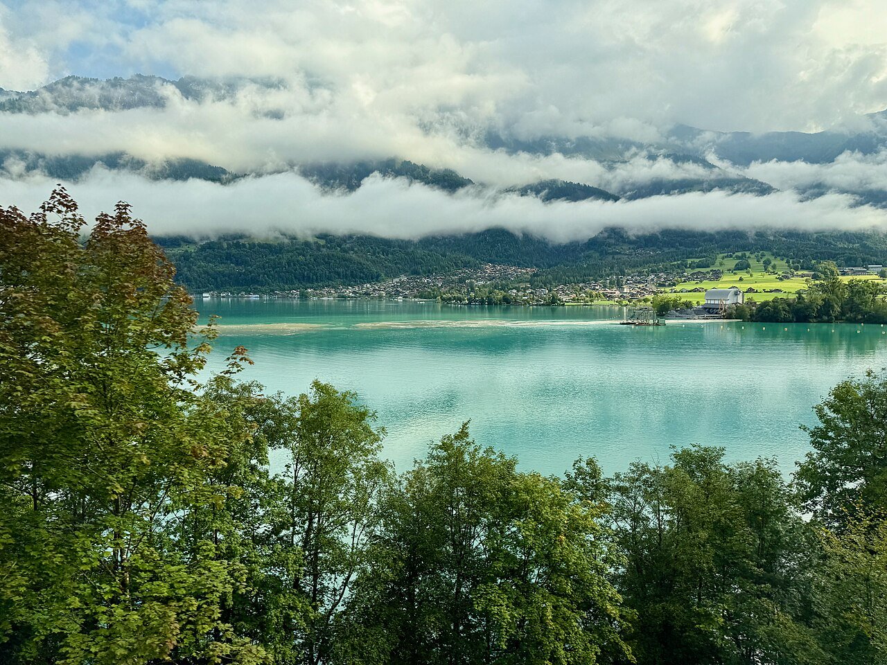 The turquoise water of Lake Brienz below trees, with low cloud over the mountains on the far shore